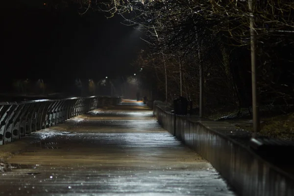 Night street after rain, deserted