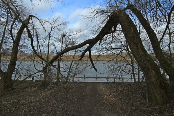 Moskou Voorjaarspark Dijk Middag Kale Takken Van Bomen — Stockfoto