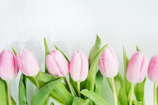 Pink tulips flowers — Stock Photo, Image