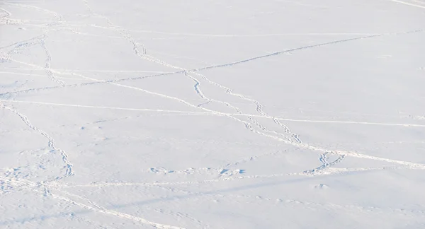 Footprints  in the snow — Stock Photo, Image