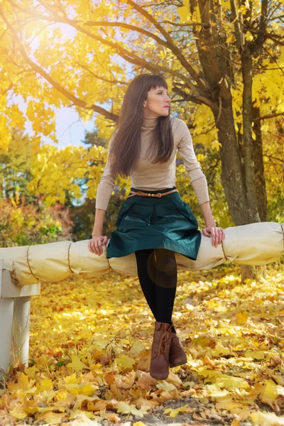 Brunette girl in autumn park — Stock Photo, Image