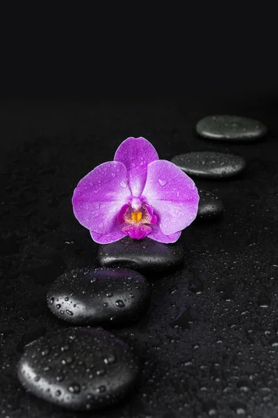 Spa-έννοια με zen πέτρες και ορχιδέα λουλούδι — Φωτογραφία Αρχείου