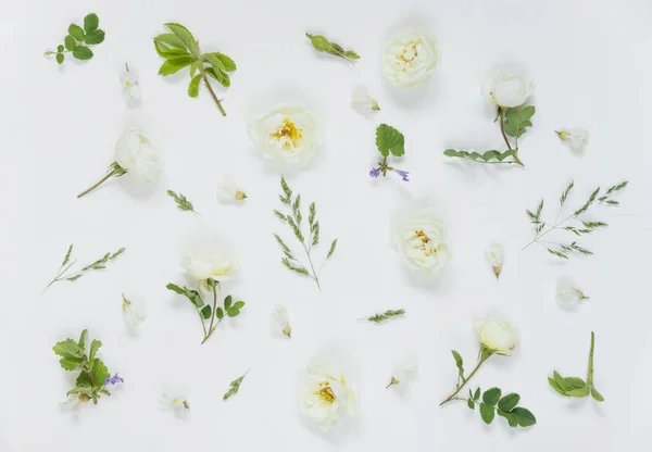 Fondo natural con flores de rosas silvestres blancas — Foto de Stock