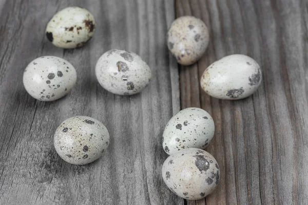 Quail eggs on the wooden boards — Stock Photo, Image