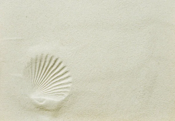 Impronta di conchiglie sulla sabbia marina — Foto Stock