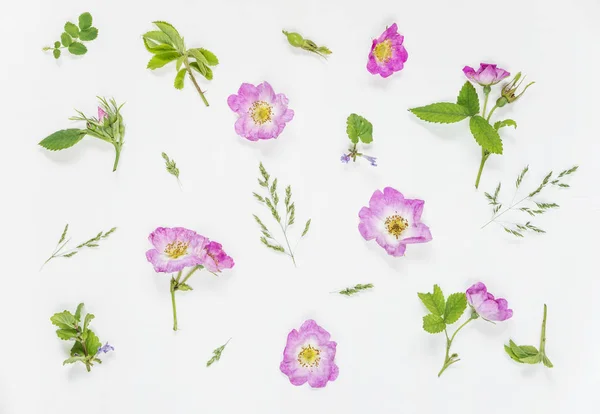 Natürlicher Hintergrund mit rosa wilden Rosenblüten — Stockfoto