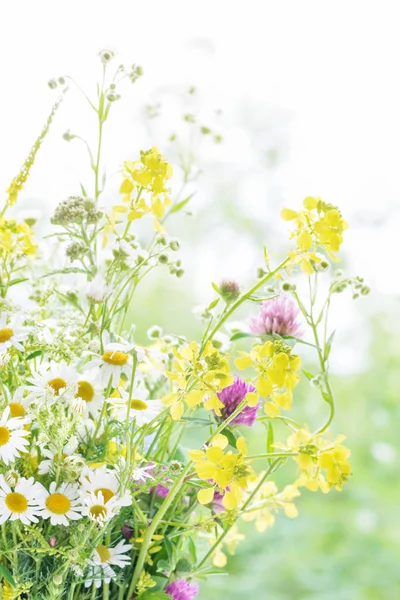 Bouquet de fleurs sauvages — Photo