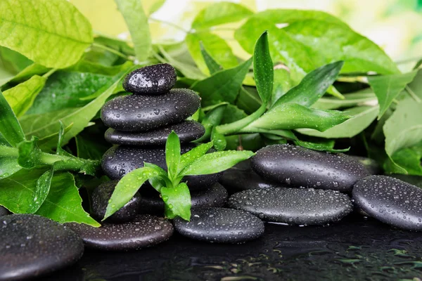 Wellness-concept met zen stenen en bamboe Rechtenvrije Stockfoto's