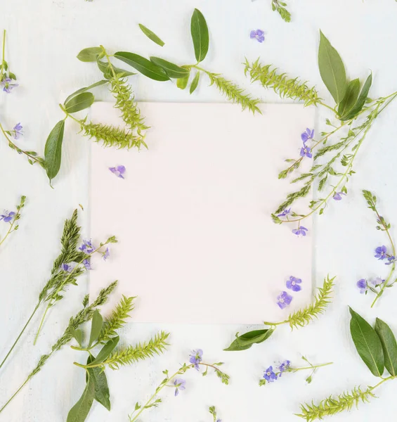 Natura ramka z różnych ziół i kwiatów — Zdjęcie stockowe