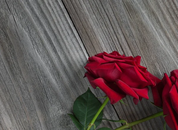 Dos rosas rojas sobre un fondo de madera —  Fotos de Stock