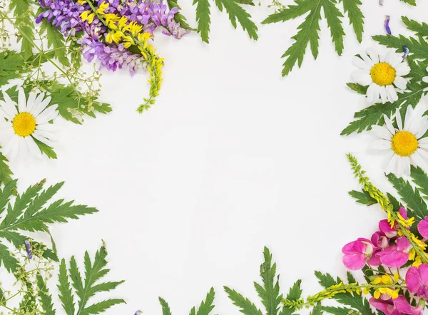Каркас з різними травами і квітами — стокове фото