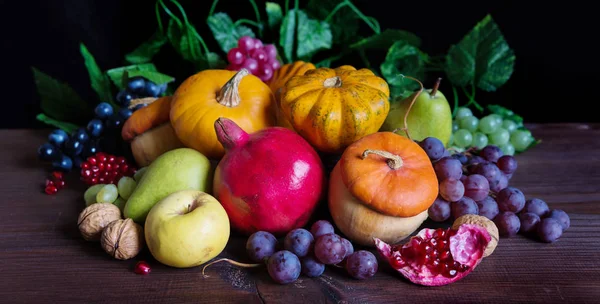 Récolte riche de divers fruits et légumes — Photo