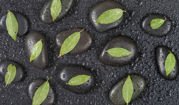 Schwarze Steine und grüne Blätter, bedeckt mit Wassertropfen — Stockfoto