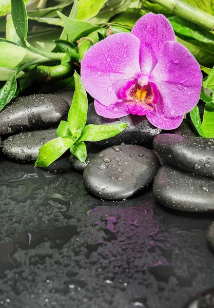 Spa concept with zen stones, orchid flower and bamboo Royalty Free Stock Photos