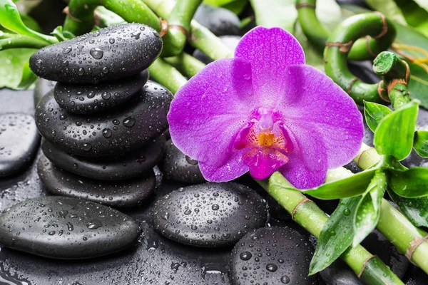 Concept de spa avec pierres zen, fleur d'orchidée et bambou — Photo