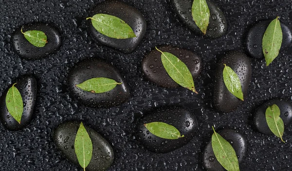 Schwarze Steine und grüne Blätter, bedeckt mit Wassertropfen — Stockfoto