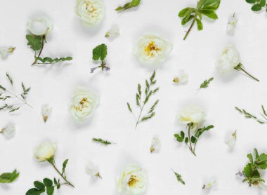 Doğal arka plan beyaz yabani gül çiçek ile