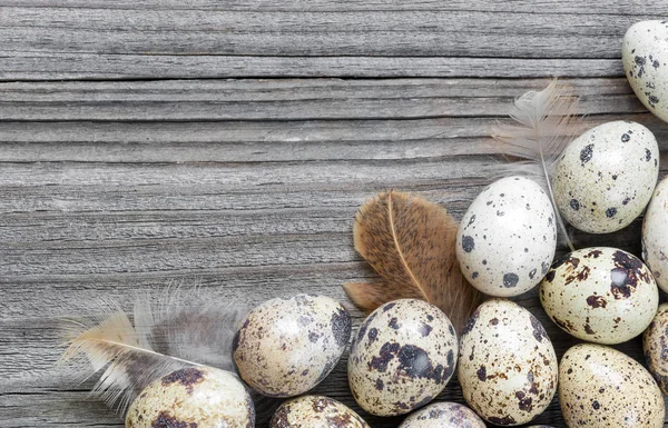 Quail eggs  on the wooden background — Stock Photo, Image