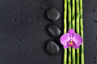 Spa konseptiyle zen taşları, orkide çiçek ve bambu