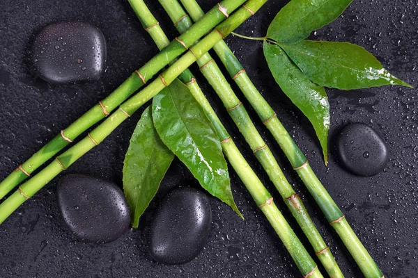 Spa-concept con pietre zen e bambù — Foto Stock
