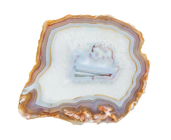 Slice of multicolor lacy agate — Stock Photo, Image
