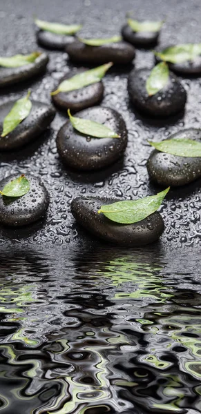 Pedras pretas e folhas verdes, cobertas com gotas de água — Fotografia de Stock