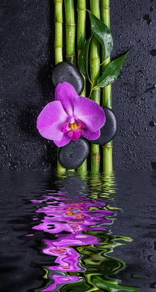 Pierres, fleur d'orchidée et bambou reflétés dans une eau — Photo