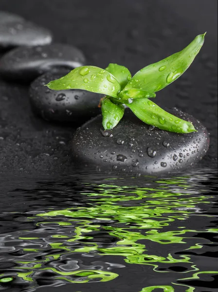 Spa-concept with zen stones and bamboo — Stock Photo, Image