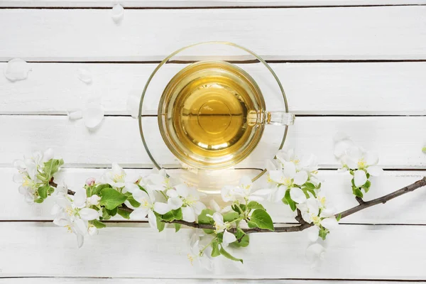 Zelený čaj a květy jabloní — Stock fotografie