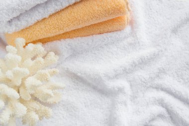 Deniz mercan ve terry havlu