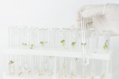 Biyoteknolojik araştırma laboratuvarı