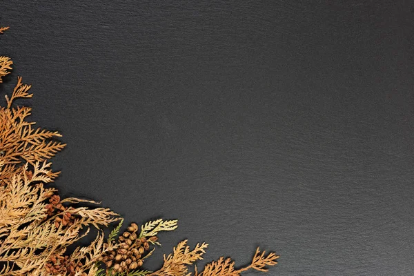 Autumn leaves on black background — Stock Photo, Image