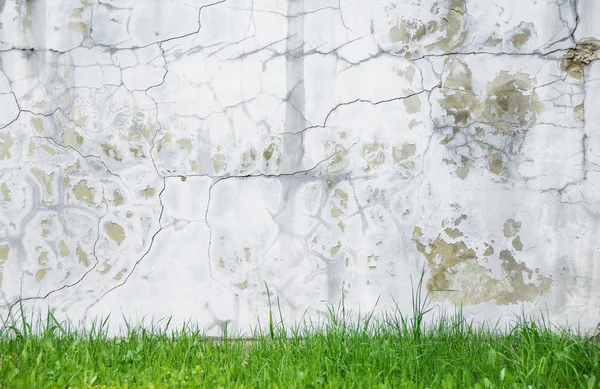 Mur de plâtre écaillé rugueux — Photo