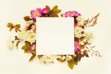 Scrapbook sayfa yaban gülü ve beyaz çiçekler