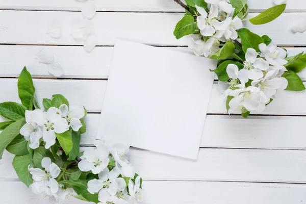 Hermoso marco con flor de manzana blanca —  Fotos de Stock