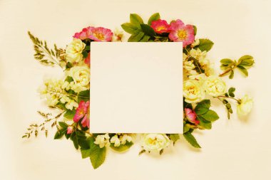 Scrapbook sayfa yaban gülü ve beyaz çiçekler