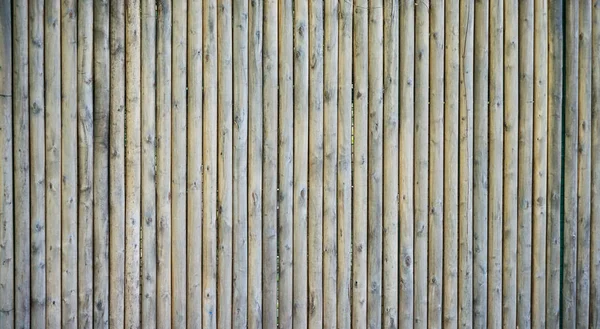 Gray unpainted wooden door — Stock Photo, Image
