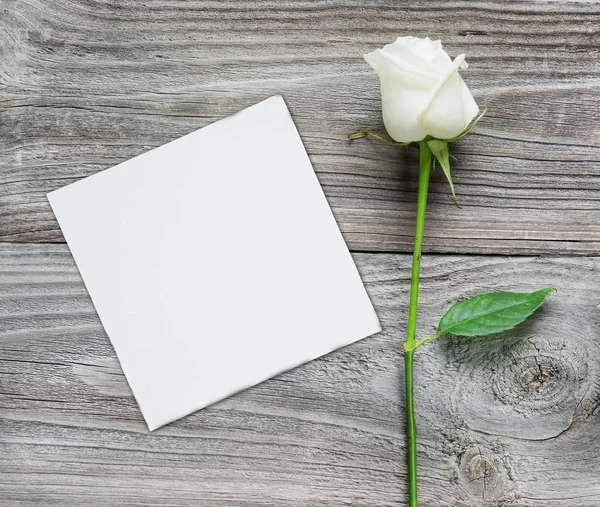 Rosa blanca y tarjeta de papel sobre fondo de madera —  Fotos de Stock