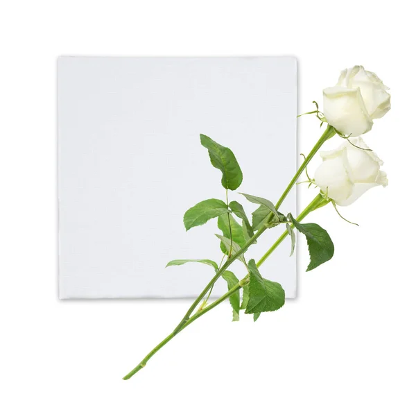 Rosas blancas y tarjeta sobre fondo blanco — Foto de Stock