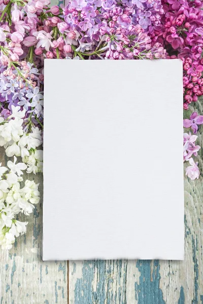 Svěží barevné kytice fialová a papírové karty — Stock fotografie