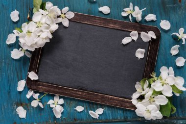 Beyaz elma çiçekli Vintage kara tahta