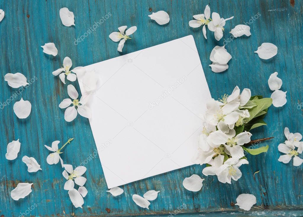 Beautiful greeting card with white apple blossom