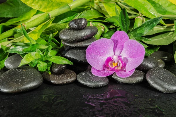 Concepto de spa con piedras zen, flor de orquídea y bambú — Foto de Stock