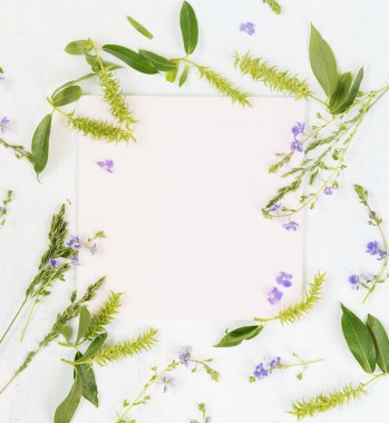 İle farklı bitkiler ve çiçekler