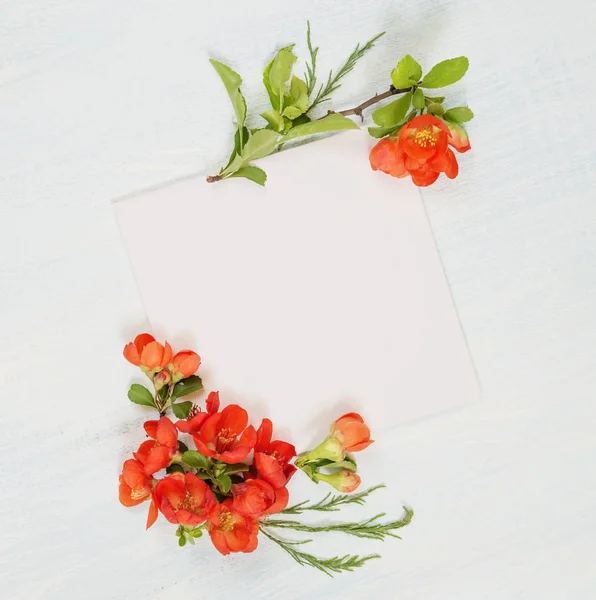 ボケの花でスクラップ ブックのページ — ストック写真