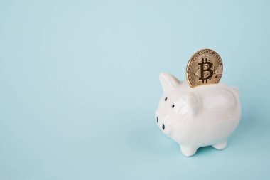 Altın bitcoin ile Piggy banka