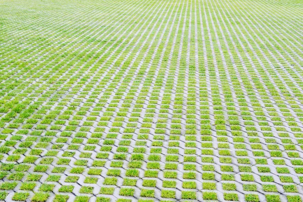 Estacionamento ecológico com grama verde — Fotografia de Stock