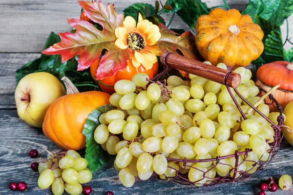 Récolte riche de divers fruits et légumes — Photo