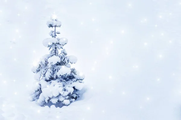 Winter Hintergrund mit kleinen Weihnachtsbaum mit Schnee bedeckt — Stockfoto