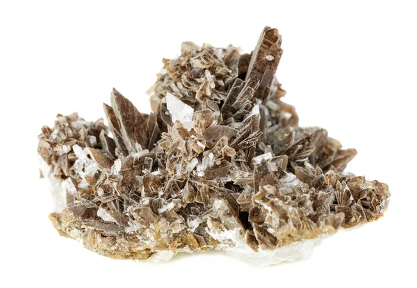 Collectible specimen of axinite — Stock Photo, Image